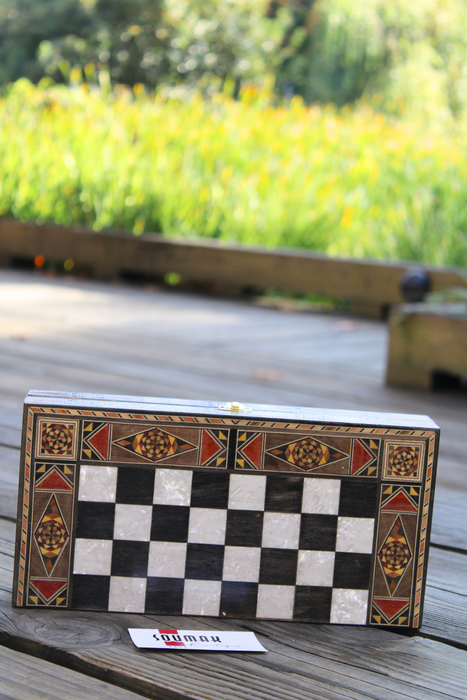 Classic Elegance Chess and Backgammon Board